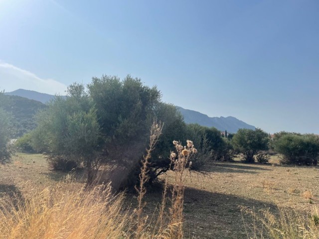 Grundstück mit Meerblick in Alsancak