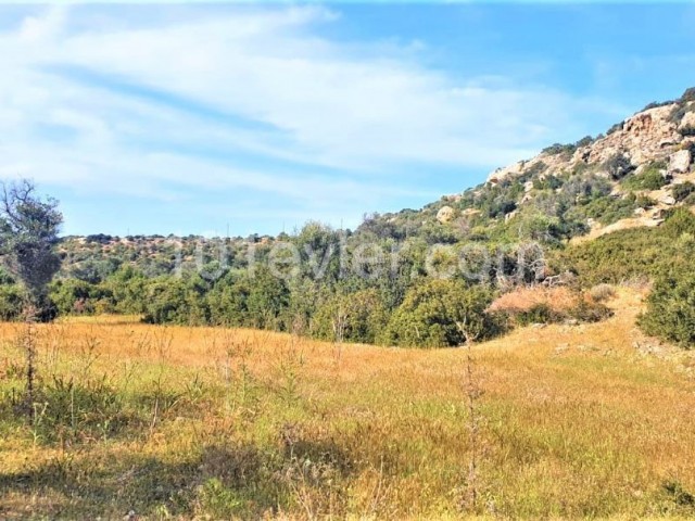 LAND FOR RENT IN KYRENIA ESENTEPE ANNUALLY