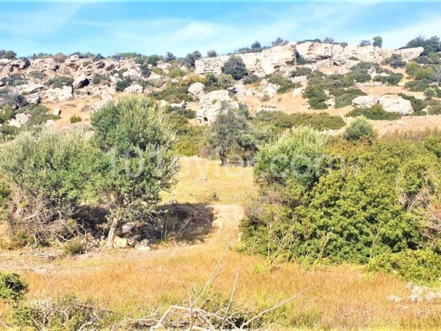 LAND FOR RENT IN KYRENIA ESENTEPE ANNUALLY