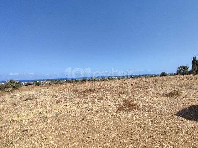 LANDS WITH TURKISH COACHES FOR SALE IN OZANKÖY, GIRNE