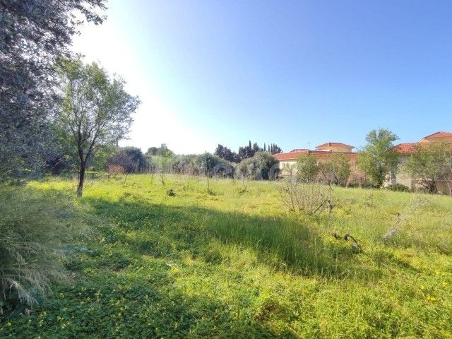 GRUNDSTÜCK MIT ERSTAUNLICHEM MEERBLICK IN GIRNE EDREMIT