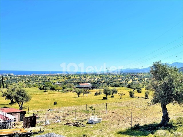 LAND FOR SALE IN GIRNE ARAPKOY