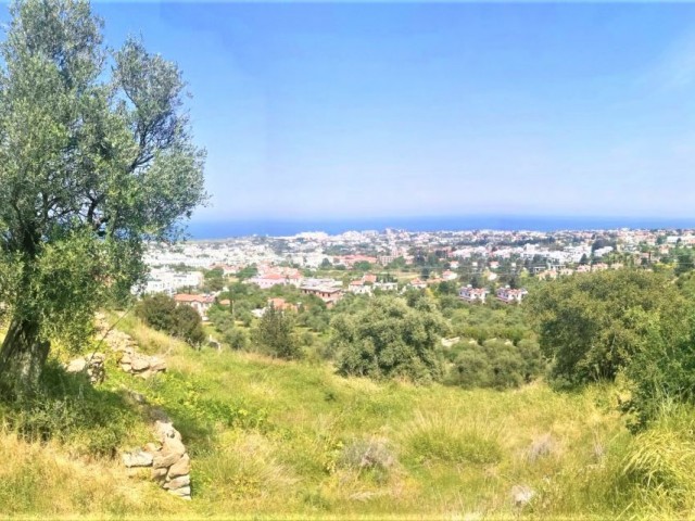 Land for sale in Alsancak, Kyrenia