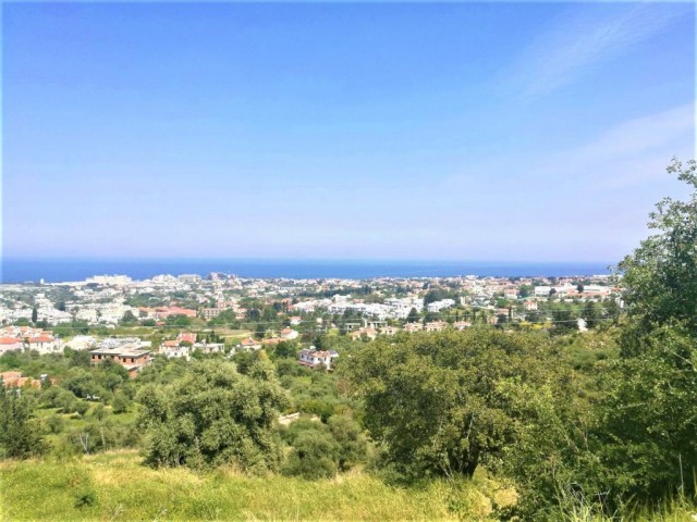 Feld Kaufen in Alsancak, Kyrenia