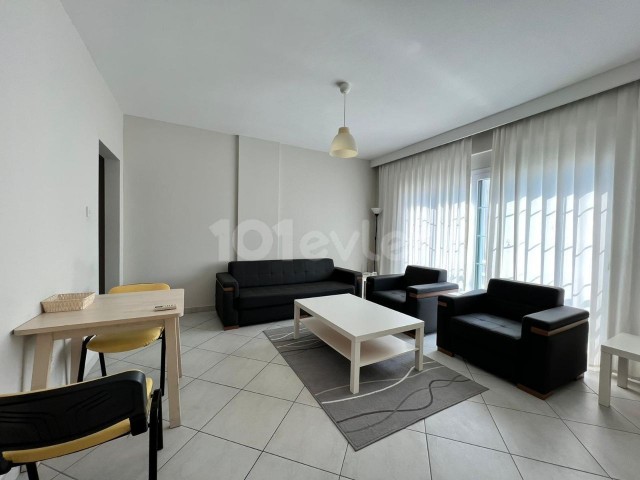 Luxury 2+1 rental in sakarya. Suitable for students 