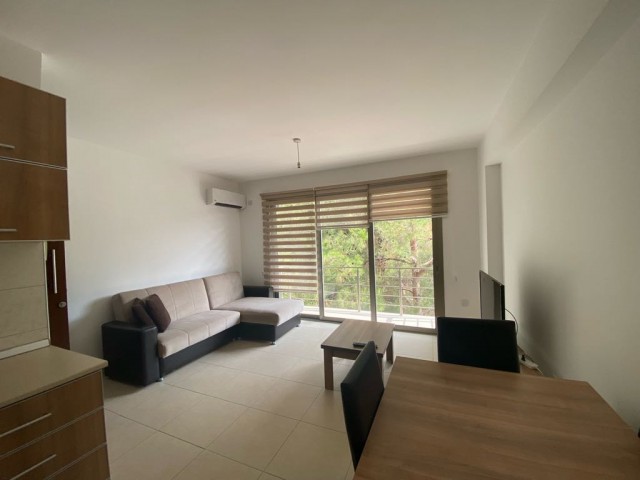 GİRNE MERKEZ ŞOKMAR MARKET YAKINI 1+1 ORMAN MANZARALI DAİRE