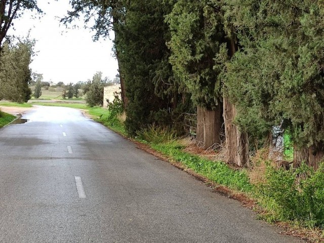 Satılık Konut İmarlı Arsa-Türkmenköy, Gazimağusa