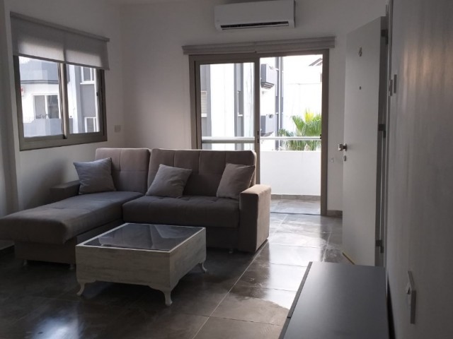 SPACIOUS, AFFORDABLE 1+1 FLAT ACROSS EMU, FAMAGUSTA ❕❕ AVAILABLE MID-JULY ❕