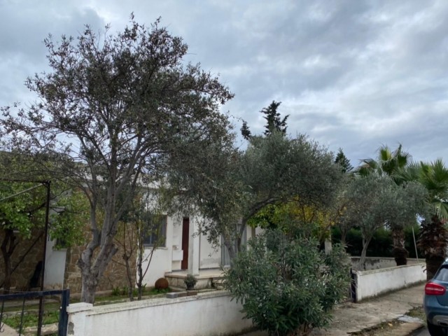 Einfamilienhaus Mieten in Yeni Boğaziçi, Famagusta