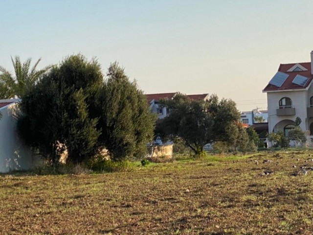 Detached House To Rent in Yeni Boğaziçi, Famagusta