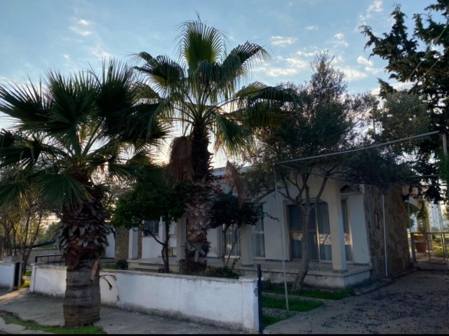 Einfamilienhaus Mieten in Yeni Boğaziçi, Famagusta