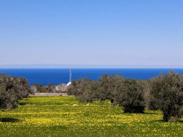 İSKELE SİPAHİ DENİZ MANZARALI İMARA AÇIK ARSA