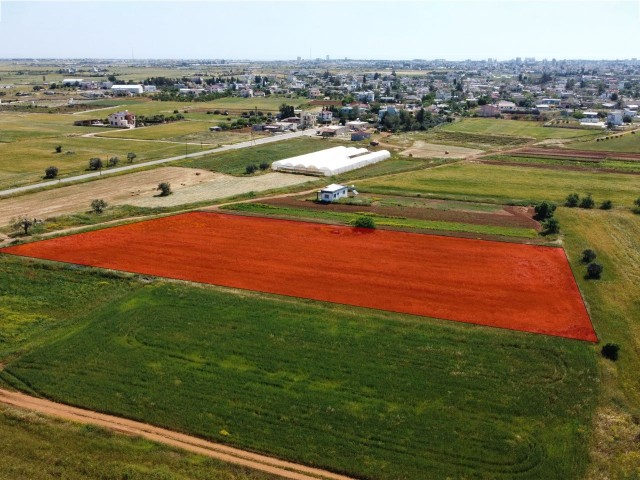 Die Gelegenheit ! Land zu verkaufen in Famagusta Mormenekşe