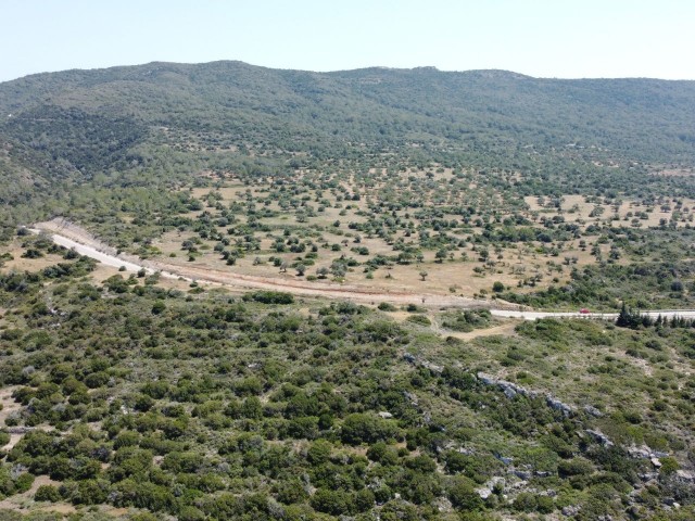 منطقه مسکونی برای فروش in Mağusa Merkez, فاماگوستا