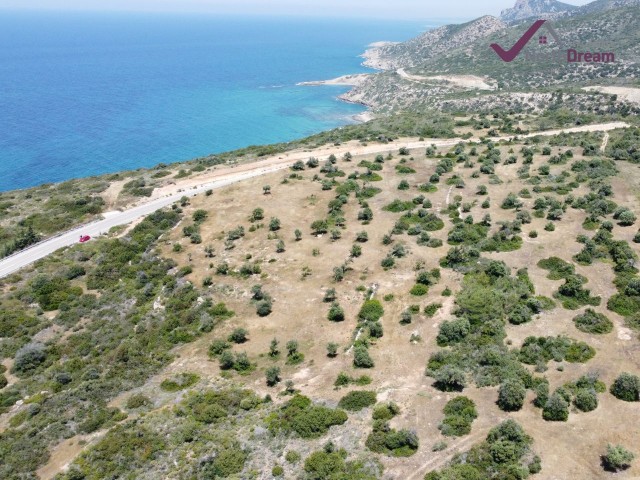 INVESTMENT OPPORTUNITY!!!! LAND FOR SALE IN SEVENKONUK VILLAGE OF FAMAGUSTA