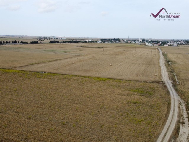 (Investment Opportunity!) Famagusta Dörtyol Field For Sale