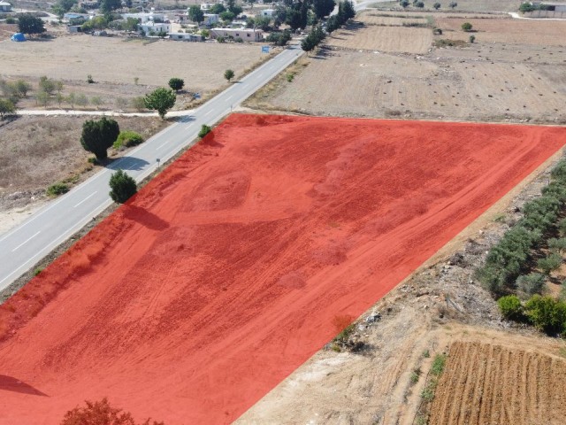 Iskele Ziyamet Highway, Null-Investitionsmöglichkeit, Land für den Wiederaufbau