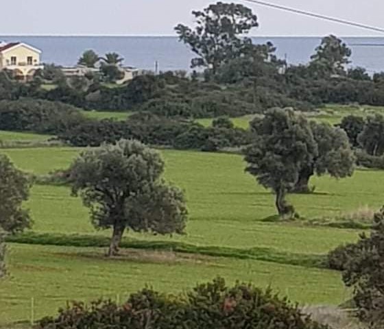 İSKELE KUMYALI VILLA ZUR TÄGLICHEN VERMIETUNG MIT SOLARPANEELE