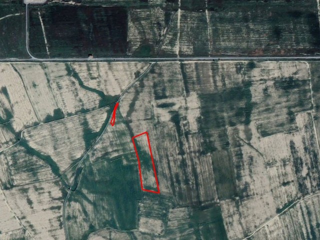 ''' INVESTMENT OPPORTUNITY ''' GAZİMAĞUSA GEÇİTKALE FASIL 96 FIELDS FOR SALE