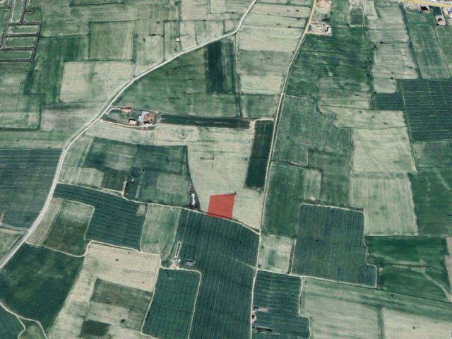 FIELD FOR SALE IN İSKELE AREA