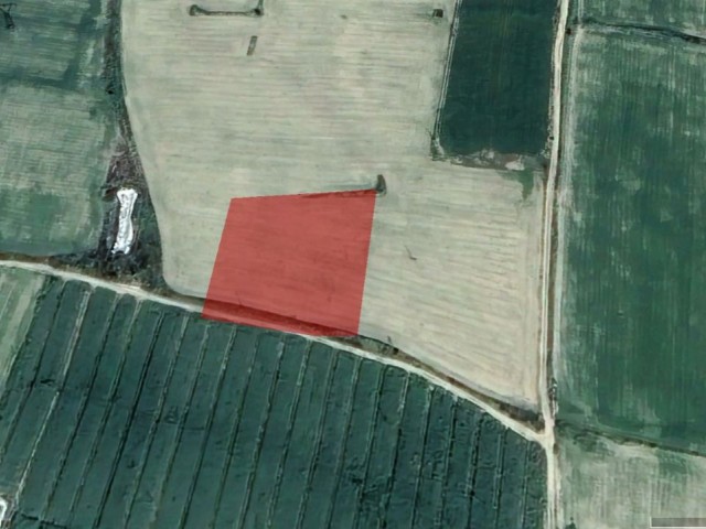 FIELD FOR SALE IN İSKELE AREA