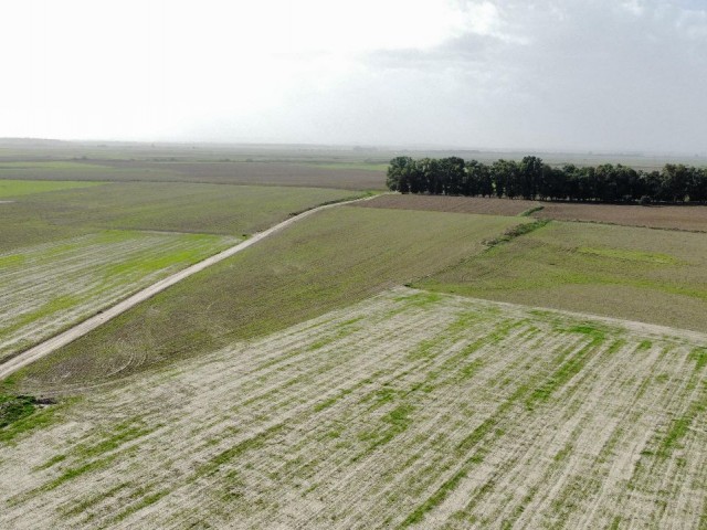 OPPORTUNITY PRICE!!! FAMAGUSTA 7.5 DECLAR FIELD WITH DAFFELCIS