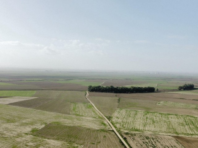 OPPORTUNITY PRICE!!! FAMAGUSTA 7.5 DECLAR FIELD WITH DAFFELCIS