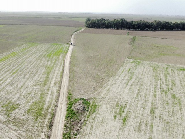 OPPORTUNITY PRICE!!! FAMAGUSTA 7.5 DECLAR FIELD WITH DAFFELCIS