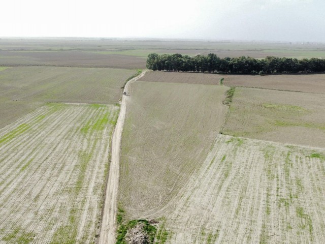 OPPORTUNITY PRICE!!! FAMAGUSTA 7.5 DECLAR FIELD WITH DAFFELCIS