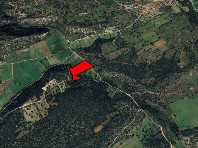 LAND FOR SALE IN İSKELE TAŞLICA