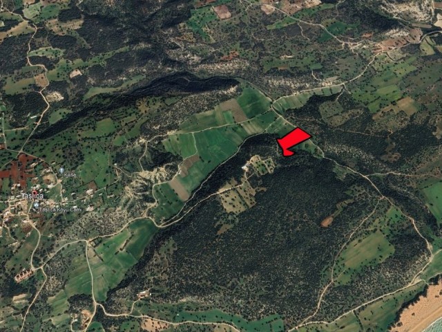 LAND FOR SALE IN İSKELE TAŞLICA