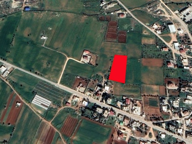 LAND FOR SALE IN FAMAGUSTA MORMENEKŞE