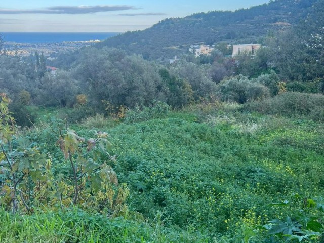 Girne Lapta Satılık Arsa 