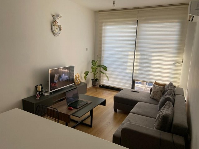 2+1 Flat for Rent Dogankoy