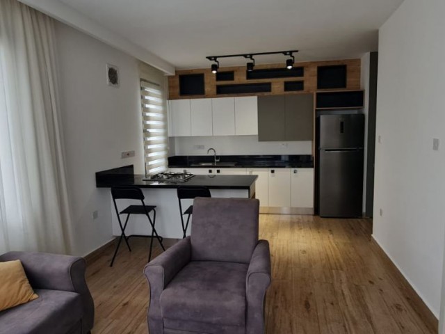 1+1 APARTMENT FOR RENT NEAR FINAL UNIVERSITY IN OZANKOY. . 