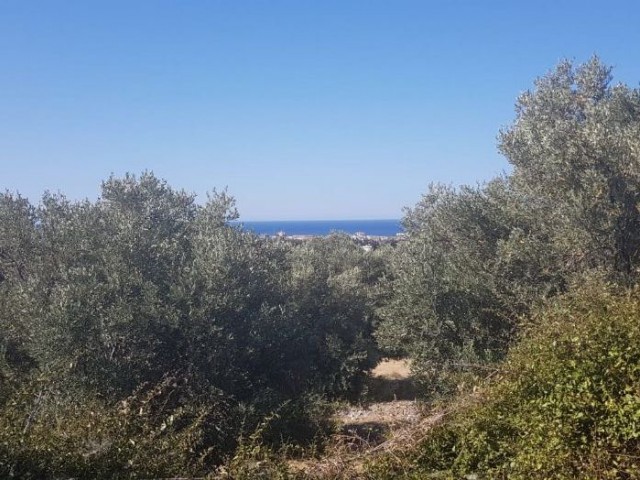 Land larger than 1 acre in a unique location in Karşıyaka!!