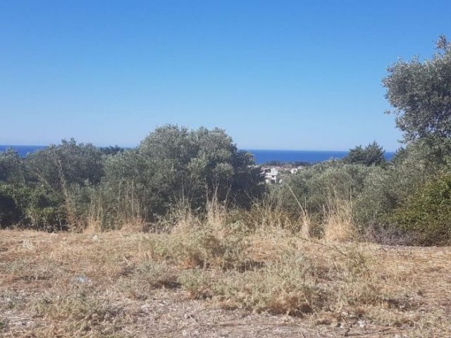 Land larger than 1 acre in a unique location in Karşıyaka!!