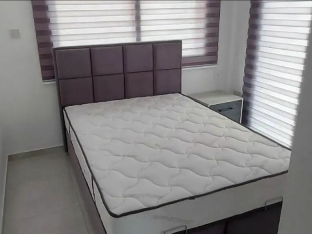 Barış Park Civarı 2+1 kiralık daire