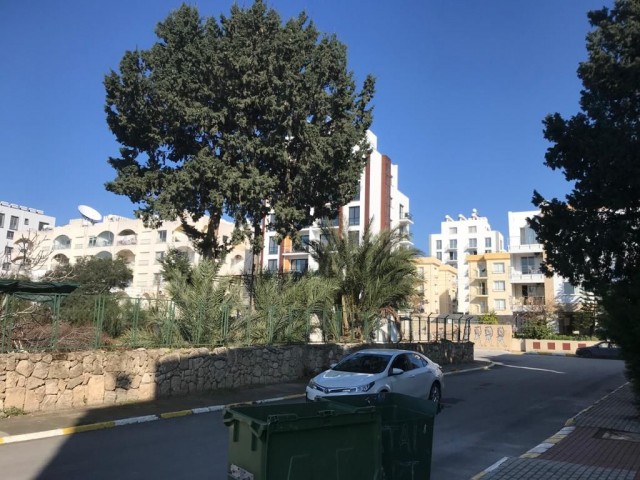 Geschäft Mieten in Girne Merkez, Kyrenia