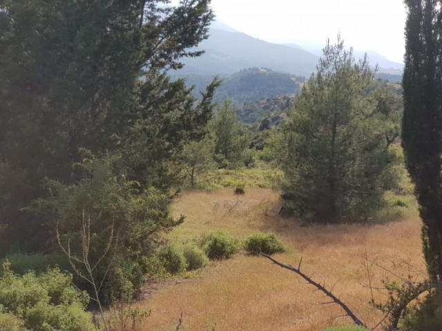 رشته برای فروش in Beşparmak, گیرنه