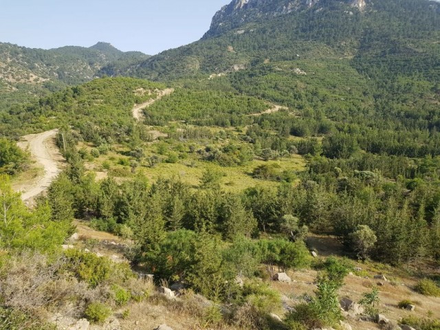 Girne Beşparmak Yatırıma uygun  Arazi