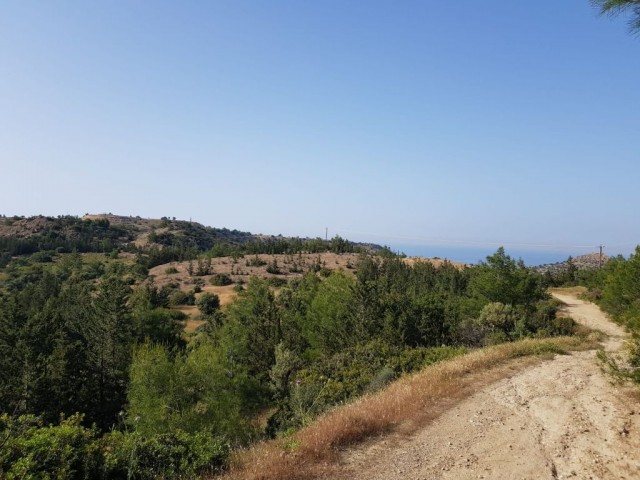 Feld Kaufen in Beşparmak, Kyrenia