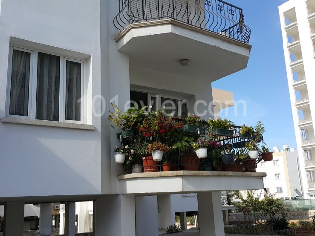 Flat To Rent in Girne Merkez, Kyrenia