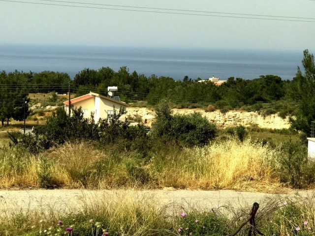 Girne Çatalköy  Şehit çocuğu atazisi