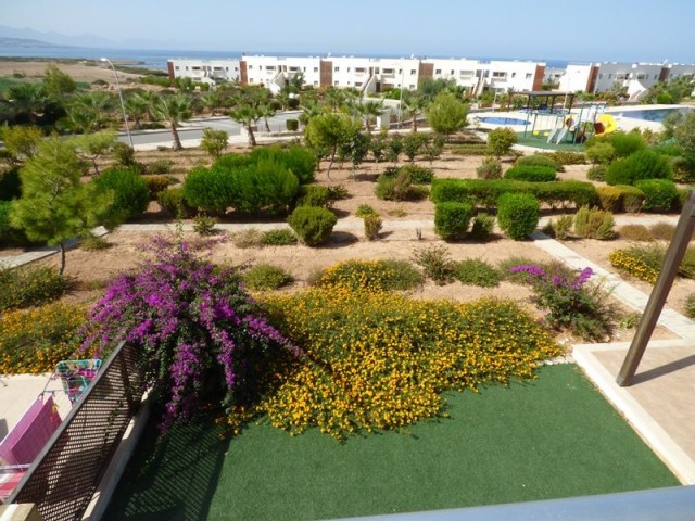 TWO BEDROOM PENTHOUSE APARTMENT OVERLOOKING THE POOL AND OCEAN