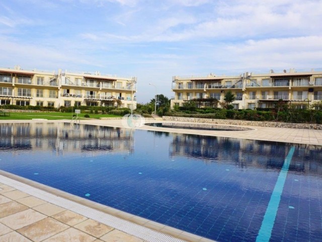 2 Bedroom Apartment Resale * Ready to Move in * Seafront Resort