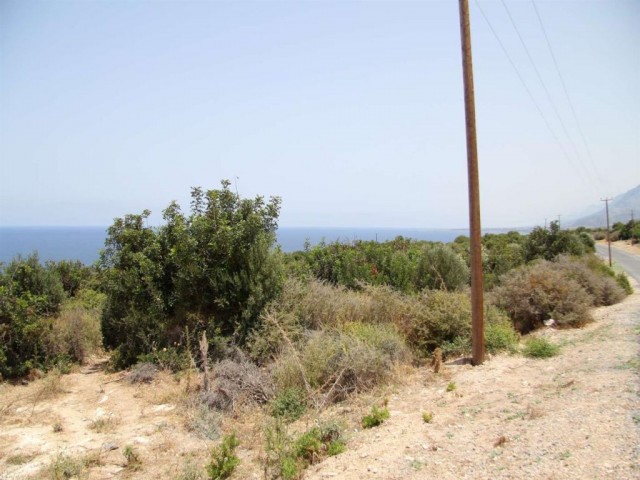 1 Donum Building Plot, Kayala