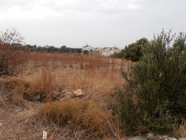 منطقه مسکونی برای فروش in Lapta, گیرنه