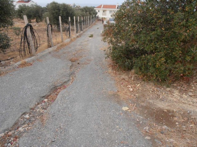 منطقه مسکونی برای فروش in Lapta, گیرنه