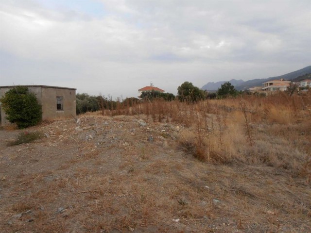 منطقه مسکونی برای فروش in Lapta, گیرنه